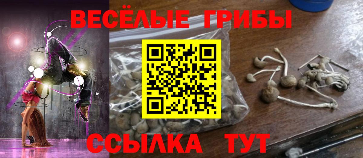 Псилоцибиновые грибы мицелий  Вход с VPN  Псилоцибиновые грибы MAGIC MUSHROOMS  Алатырь 