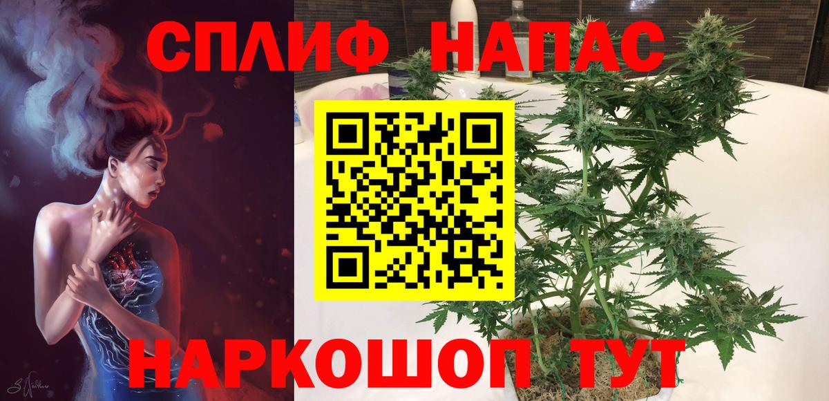 Марихуана сатива  Вход с VPN  Конопля VHQ  Алатырь 